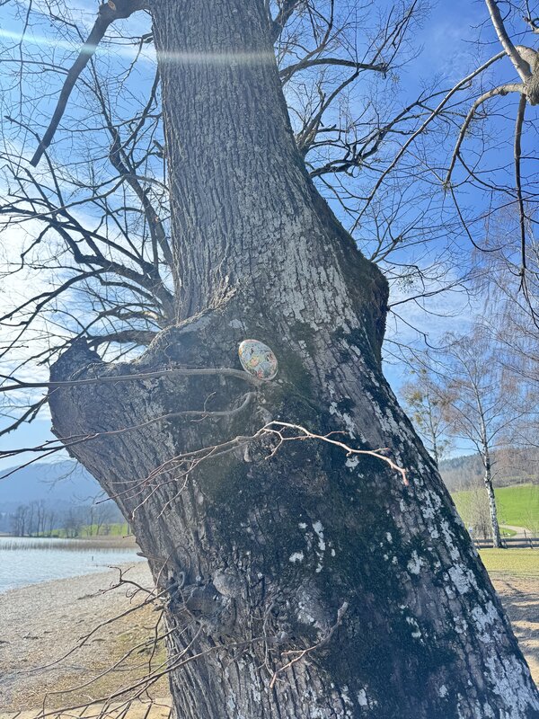 Bild vergr&ouml;&szlig;ern: Strandbad_Ei_tipp