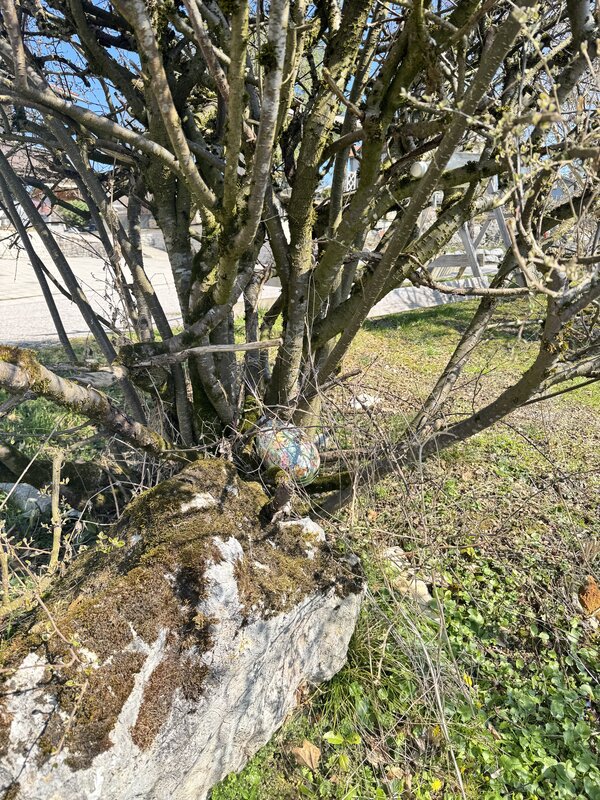 Bild vergr&ouml;&szlig;ern: Giglberg_ei