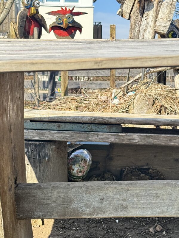 Bild vergr&ouml;&szlig;ern: Obstgarten_ei_Tipp