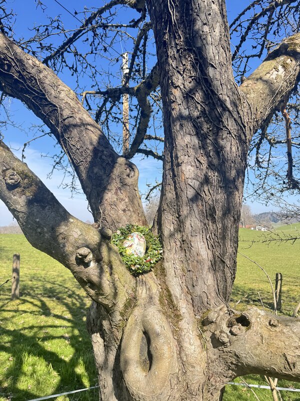 Bild vergr&ouml;&szlig;ern: Oberbuchberg